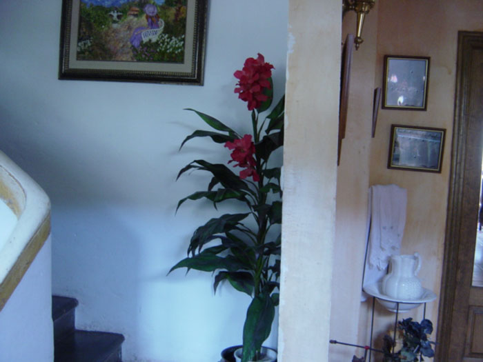 Aqui se observa la escalera para subir a las habitaciones